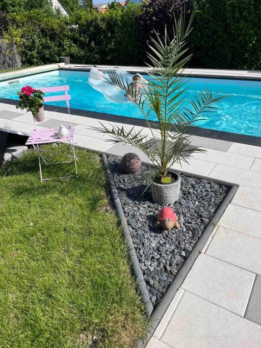 Le Gite Des Cigogneaux Schwenheim Zewnętrze zdjęcie
